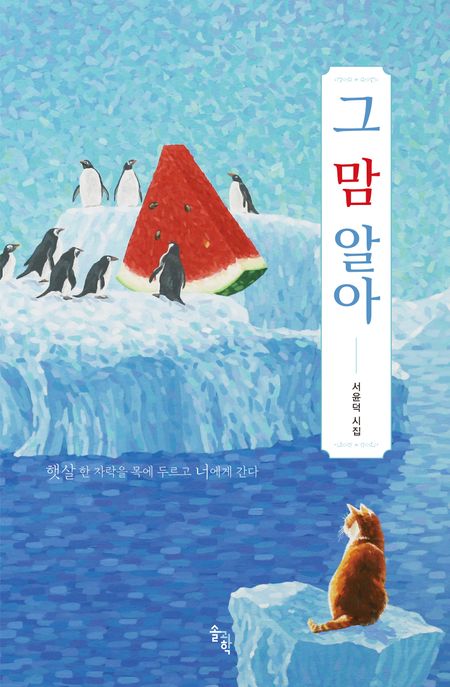 그 맘 알아 (햇살 한 자락을 목에 두르고 너에게 간다) 표지