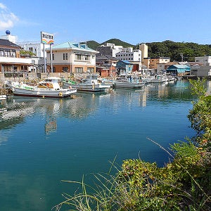부산출발 대마도여행 일본 쓰시마 대마도패키지 땡처리특가 혼자여행 4인가족