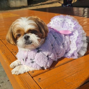 발레리나 판초 강아지 고양이 망토 코트 잠바, JSA핸드메이드