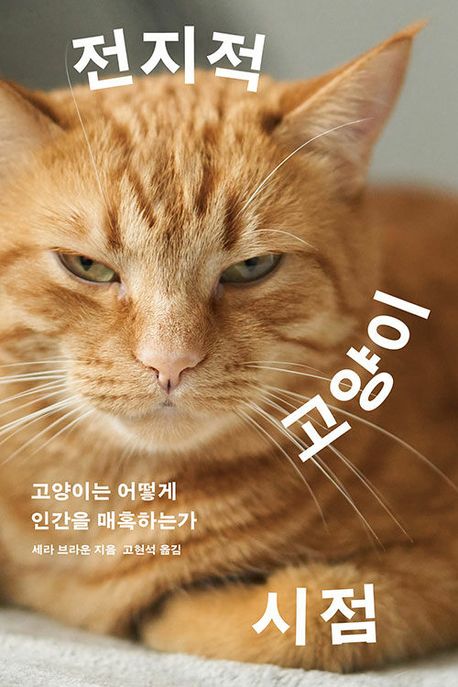전지적 고양이 시점 (고양이는 어떻게 인간을 매혹하는가) 표지