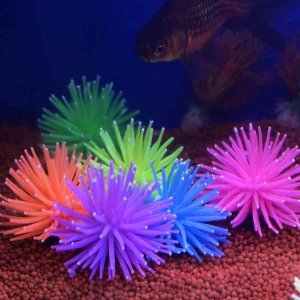 수족관 말미잘 실리콘 물고기 탱크 산호 식물 수생 물