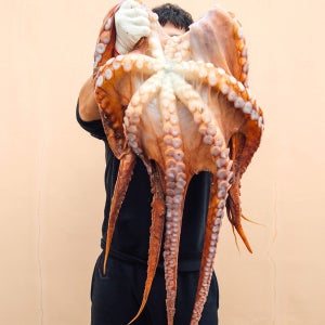 진한 맛이 좋은 포항 구룡포 대문어 피문어 3종