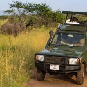 [아루샤]탄자니아 사파리 탐험 6일 (숙박+식사비용포함)