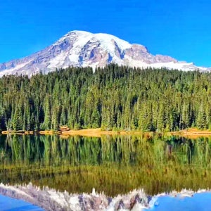 [즉시확정] 레이니어산 국립공원 일일 투어 (시애틀 출발)