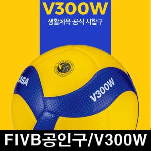 v300w 최저가 가성비상품