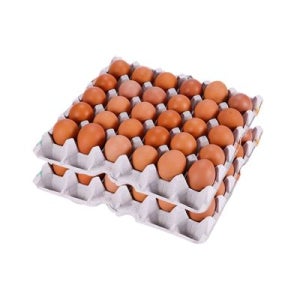 [더반] HACCP인증 쫀득한 영양간식 구운계란60개 + 촉촉한 반숙계란60개 총120개