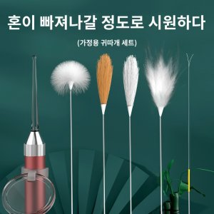 귀청소도구 최저가 가성비상품