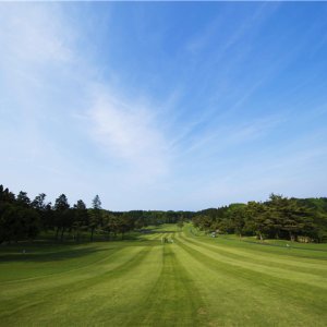 일본 동경 골프텔 시내근교 골프장 4일 전식포함
