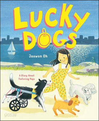 Lucky Dogs (A Story About Fostering Pups)