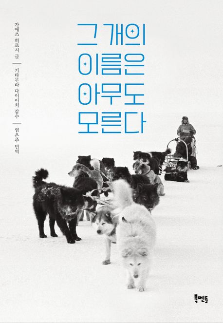 그 개의 이름은 아무도 모른다 표지