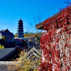 [즉시확정] 중국 베이징 북경 고북수진&쓰마타이 장성 일일 투어