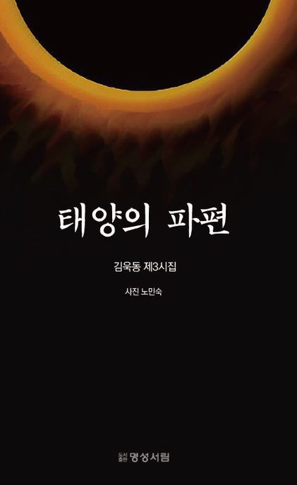 태양의 파편 (김욱동 제3시집)