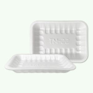 PSP트레이 22호 TM