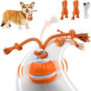 Salodal Dog Ball Toy Interactive 반려견용 Peppy Pet 긴 꼬리 티저시뮬레이션 버드 사운드소형 USB 충전