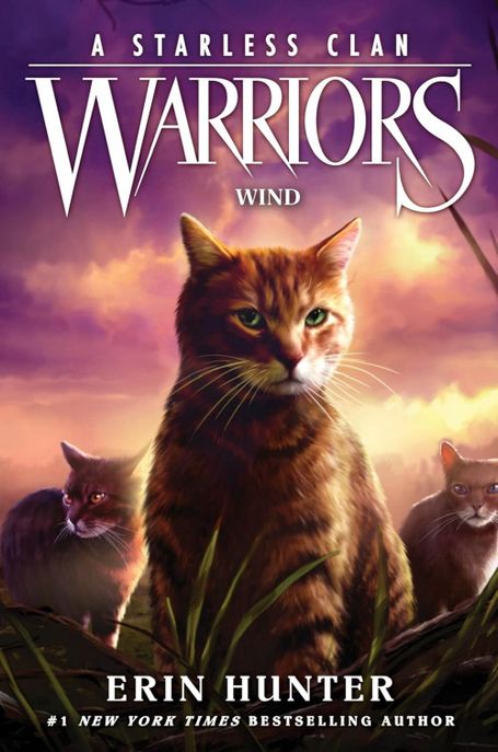 Warriors : a starless clan . 5 , Wind 표지