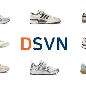 DSVN 추가금 결제 페이지
