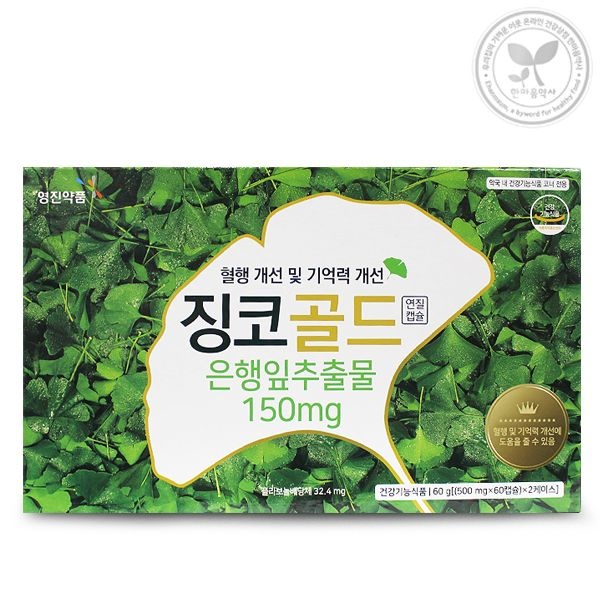 기억력 개선 은행잎추출물