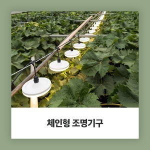 농가용 히포<b>팜텍</b>  LED 체인형조명기구 파티<b>라이트</b>  줄조명 연장선 전선 식물 조명 하우스 시설 재배 30M 30구 50M 50구
