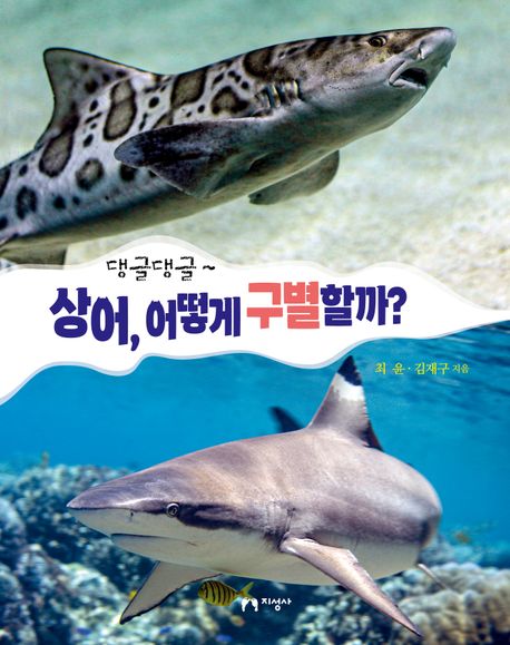 (댕글댕글~) 상어, 어떻게 구별할까?