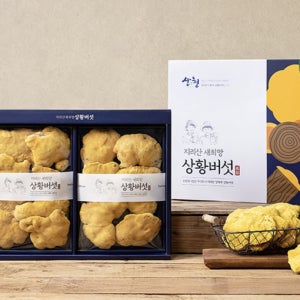 유기농 GAP 장수상황버섯 원형 선물세트 300g