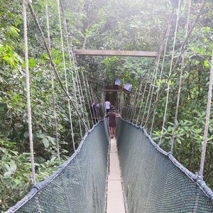 코타키나발루 키나발루산 캐노피+온천투어 코타키나발루 여행 액티비티 예약