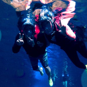 코타키나발루 보트 스노클링 오전2번 오후1번 가야섬 빠당포인트 점심 식사 말레이시아 액티비티 예약