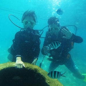 코타키나발루 스쿠버다이빙 스노클링 가야섬 사피섬 픽업 샌딩 식사포함