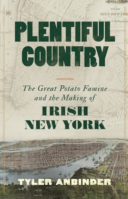 Plentiful Country: The Great Potato Famine and the Making of Irish New York (The Great Potato Famine and the Making of Irish New York)