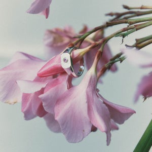 [마모] pink sapphire signet ring