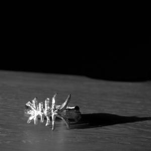 美 미 은반지 [실버925], 림