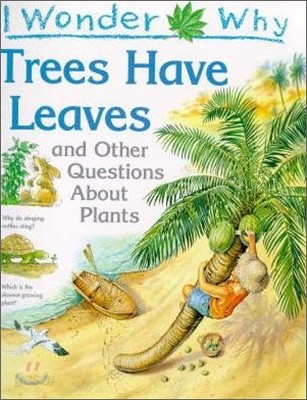 I wonder why trees have leaves