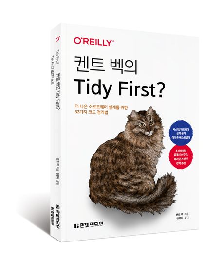 켄트 벡의 Tidy First? : 더 나은 소프트웨어 설계를 위한 32가지 코드 정리법 