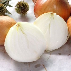 양파 3kg (특품) _25년 아삭달큰 햇양파