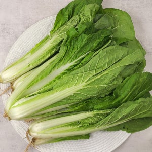 억세지 않고 부드러운 얼갈이 600g