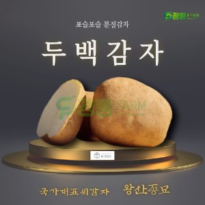 씨감자 최저가 가성비상품