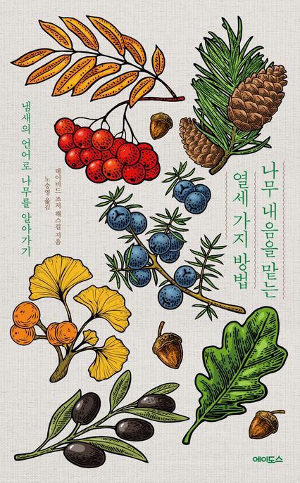 나무 내음을 맡는 열세 가지 방법 (냄새의 언어로 나무를 알아가기) 표지