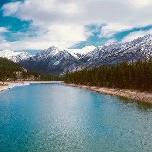 대가족여행 나이아가라폭포 단체관광 겨울 몬트리올 밴쿠버 여행