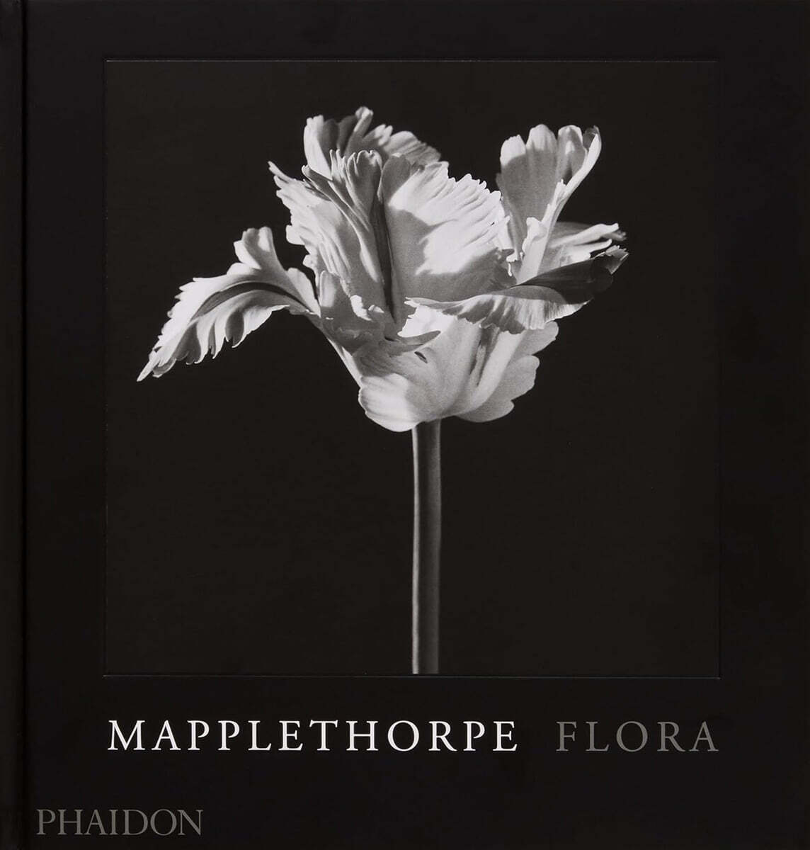 Mapplethorpe Flora (The Complete Flowers)