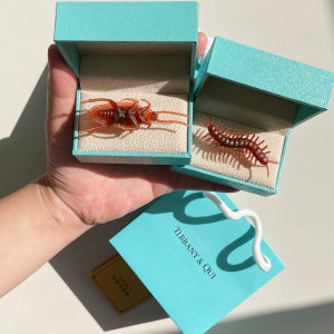 바퀴벌레반지 쓸데없는 웃긴 선물 쓸모없는 킹받는 인싸템, 스튜디오배추