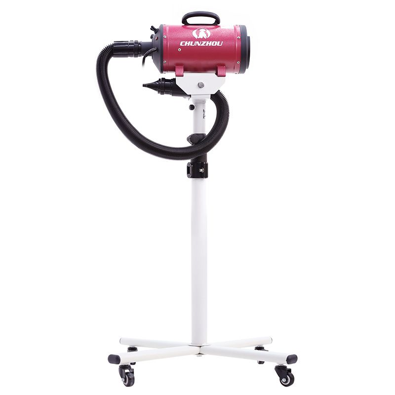 펫 보험 비교 (Pet Insurance Comparison)