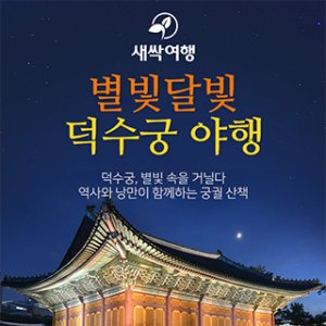[주말에어디가] 별빛 달빛 덕수궁 야행 가이드 투어   새싹여행 - 전문 강사진과 함께 궁궐 탐방