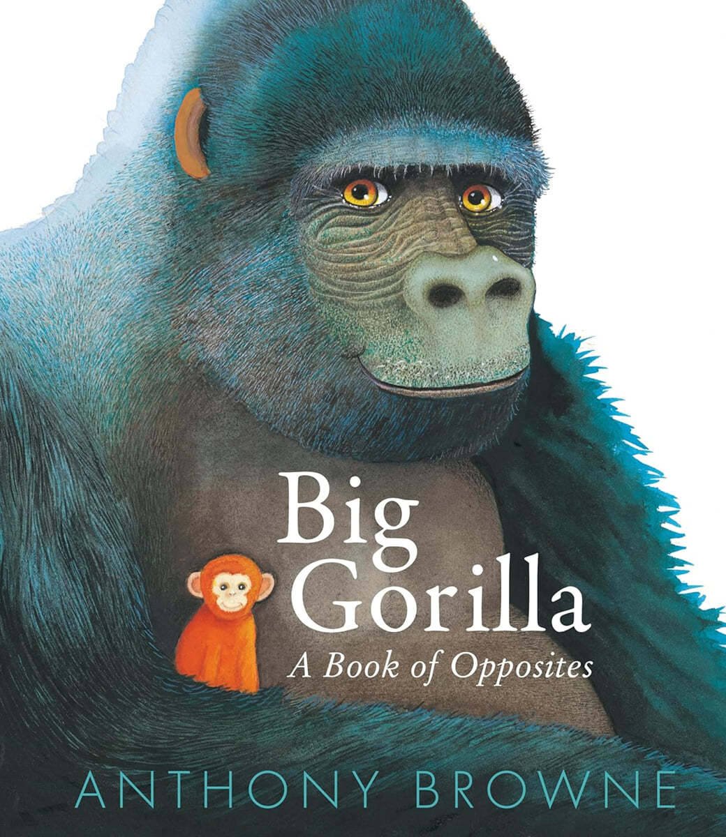 Big gorilla : a book of opposites