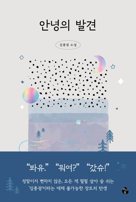 안녕의 발견 (김종광 소설)