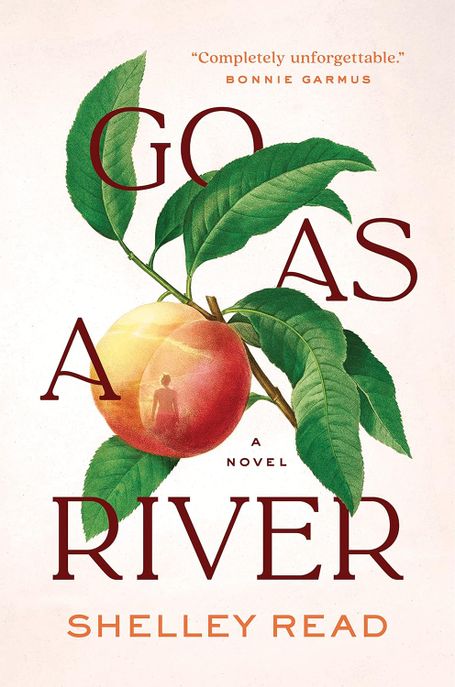 Go as a River: A Novel (셸리 리드 장편소설 : 흐르는 강물처럼)
