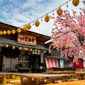 무료 eSIM 방센 숨겨진 일본 스타일 (비행기 카페, 어시장)