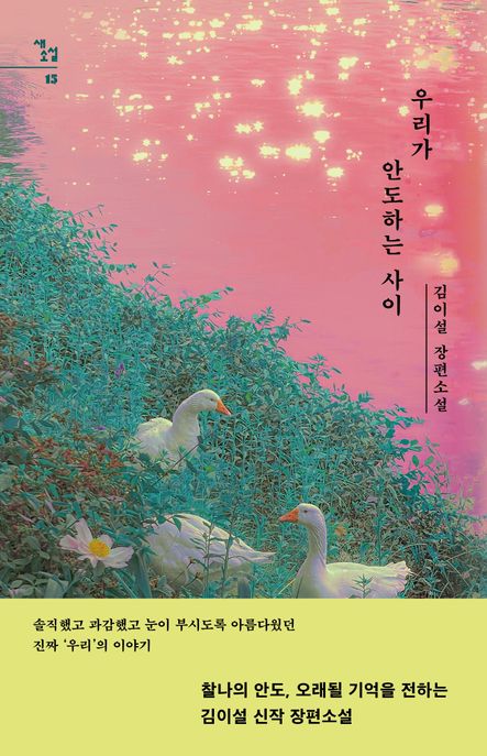 우리가 안도하는 사이 (김이설 장편소설) 표지