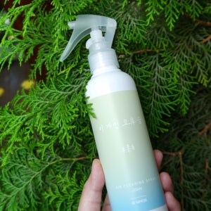 [비 개인 오후 숲] 편백 스프레이, 니모르