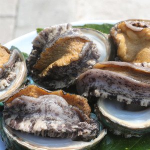 우체국쇼핑 바다마을특대활전복9-11미1kg산소포장
