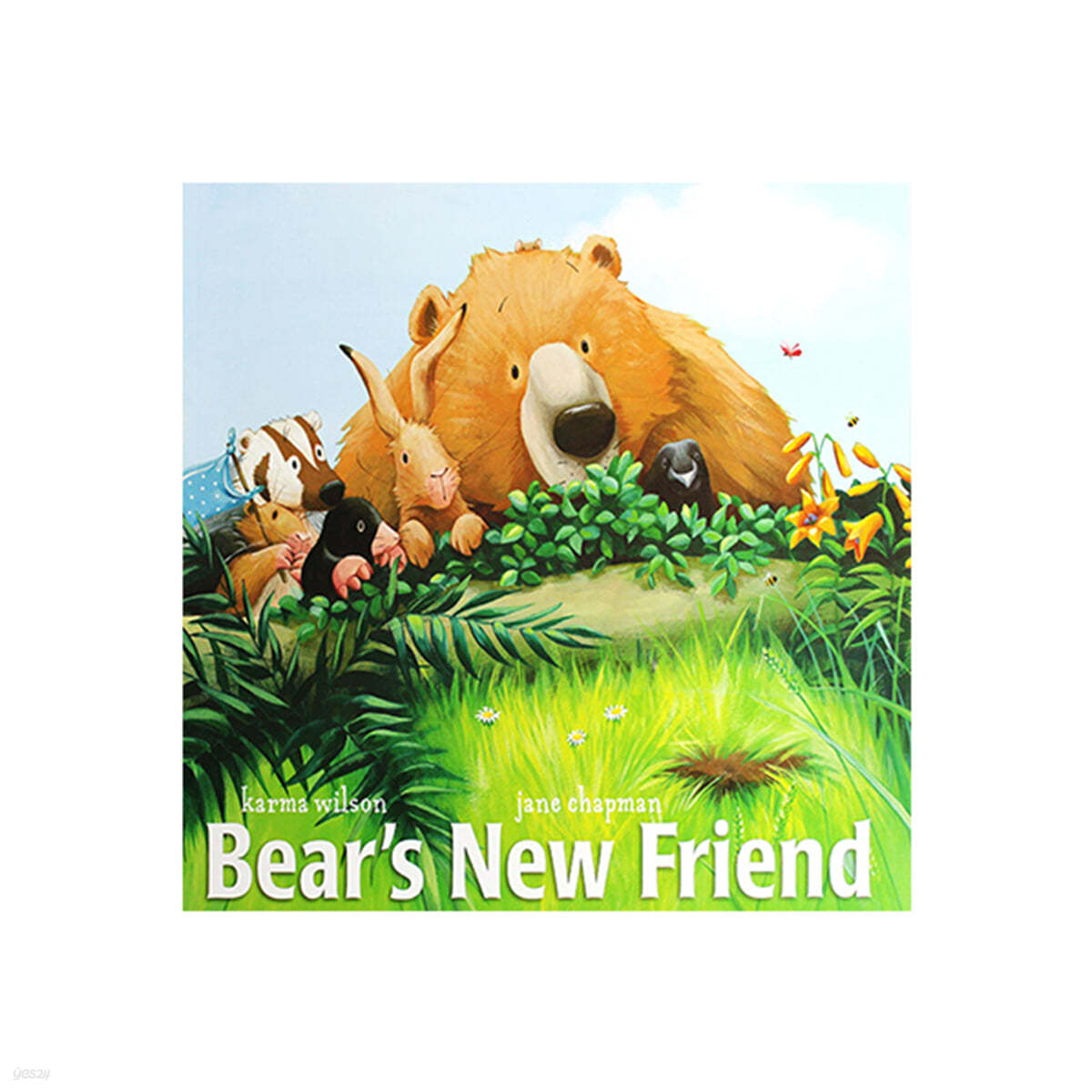 Bear's new friend