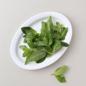 스피아민트 10G(팩)
